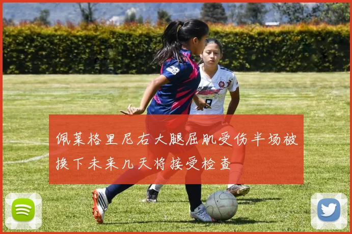 佩莱格里尼右大腿屈肌受伤半场被换下未来几天将接受检查